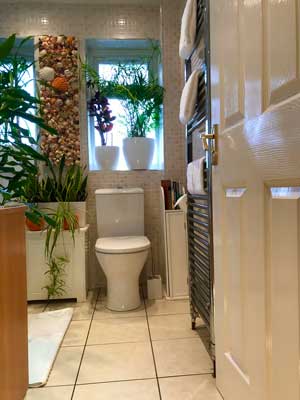 A toilet within a bathroom to be cleaned.